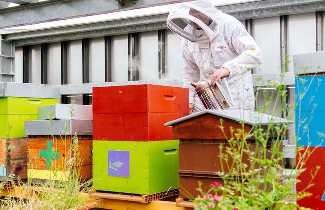 Aparthotel Adagio Access Nancy Centre - Foto 21