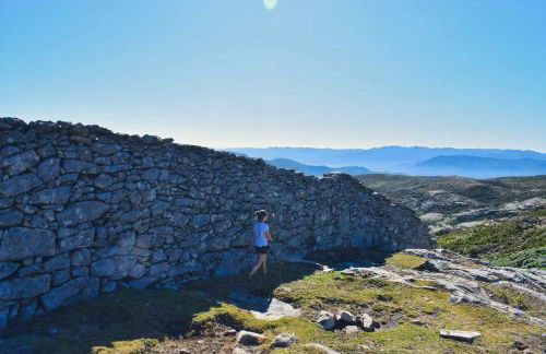 Casa Florestal, na Branda da Bouça dos Homens - Foto 22