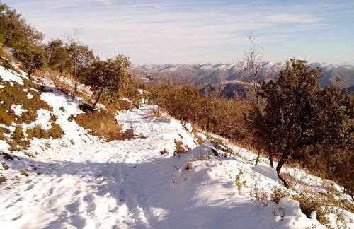 Casa María Jesús - Foto 8