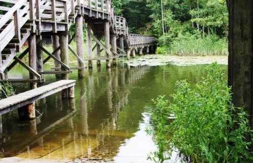 Apartment Morgensonne by Interhome - Foto 24