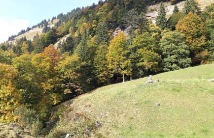 Ferienwohnung Gipfelstürmer - Foto 41