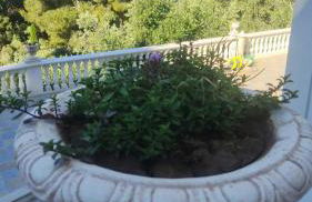 Lunamora 4 - Foto 16