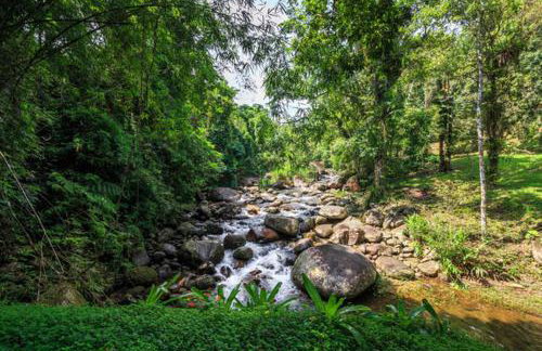 Chalés Cachoeira Azul - Foto 68