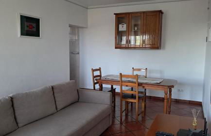 Biscoitos Top View - Photo 40