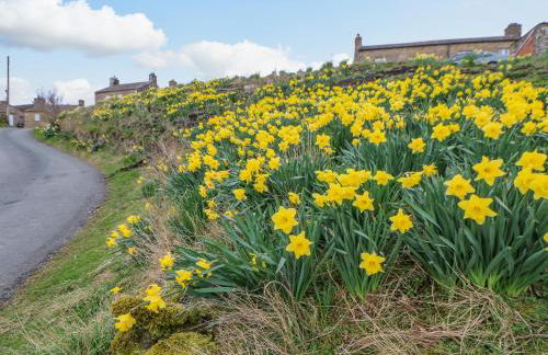 High House - Foto 39