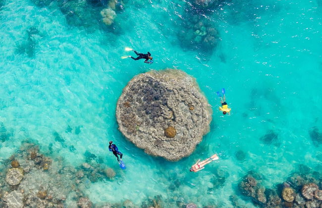 Peninsula Airlie Beach - Photo 73