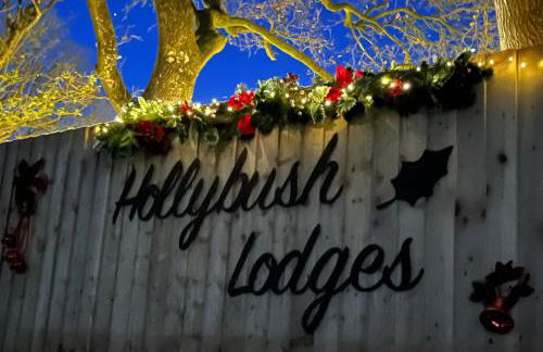 Hollybush Lodges - Foto 66