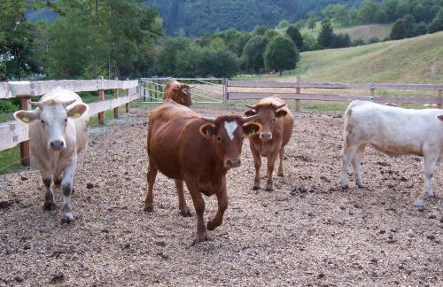 Schnurrenhof - Foto 13