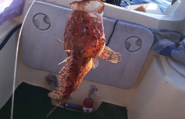 Villa Jadranka Privlaka - Foto 41