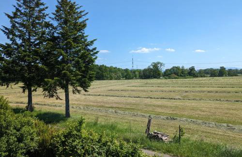 Badischer Neubau-Ruhe-Kunst-Natur - Foto 71