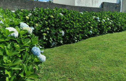 Clover's House - AL - Photo 22