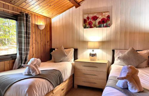 Snowdrop 10-Hot Tub-Woodlandlodges-St Clears-Pembrokeshire - Foto 6