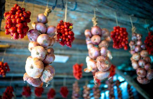 Agriturismo Fattoria Terranova - Foto 138