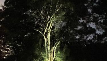 Recanto da Floresta - Casa de campo em Secretário - Foto 5