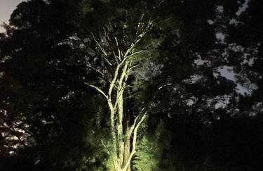 Recanto da Floresta - Casa de campo em Secretário - Foto 5