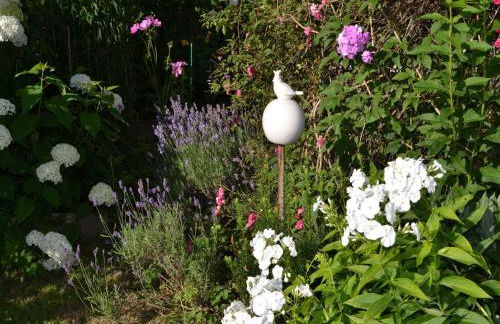 Pichler Roswitha - Foto 14