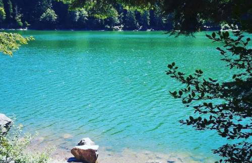 RELAX CHALET Nature Retreat - isolé sur 3 hectares - confort de LUXE - maison entière 150m2 - près de La Bresse - Foto 60