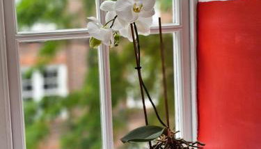 Flat in Hammersmith - Close to tube station - Foto 5