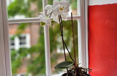 Flat in Hammersmith - Close to tube station - Foto 5