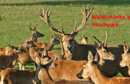 Ferienwohnung Jung - Foto 28