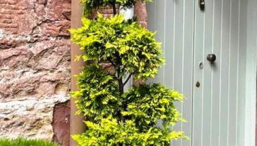 Reidochie Stables luxury haven overlooking garden - Foto 2