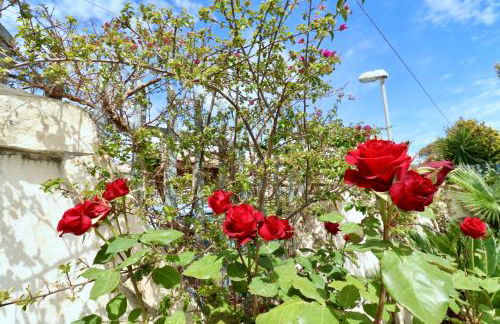 Villa Primavera - Foto 6