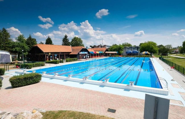 Mad House Apartment 1, Terme Čatež - Foto 10