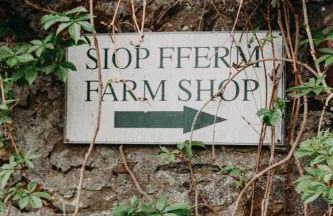 Nantgwynfaen Organic Farm Wales - Photo 42