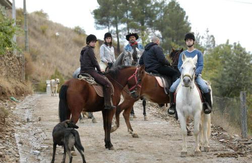 A. Montesinho Turismo - Foto 44