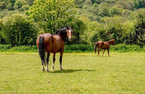 Holgates Cottage Countryside Retreat - Foto 19