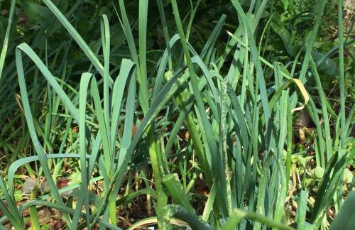 Maria’s Cottage House - Foto 44