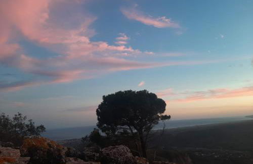 La luna nel pozzo - Foto 28