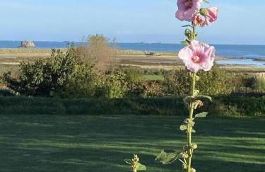 La fringante - Foto 31