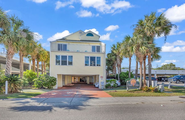 Island palms - Foto 28