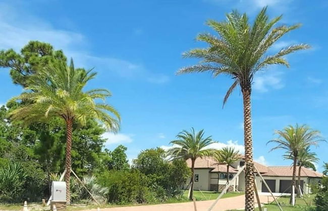 Stunning Luxury Mediterranean-style Private Oasis! - Foto 33