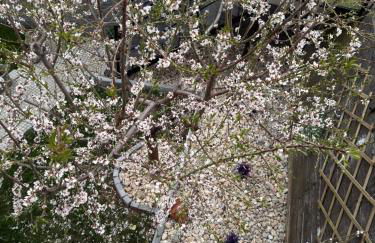 ElatoVillage - Foto 4