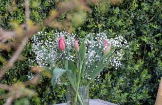 Quinta da Cerejeira - Foto 24