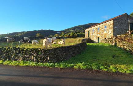 Adega do capitao - Foto 1