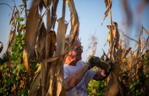 Settecentoalberi Agriturismo - Foto 27