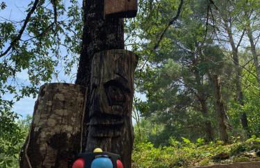 Gîte les chênes verts - Périgord noir proche grottes de Lascaux - Foto 37