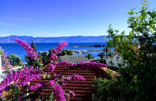 Apartments Panorama - Foto 32