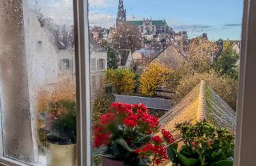 Duplex T3 en centre-ville avec très belle vue - Foto 7