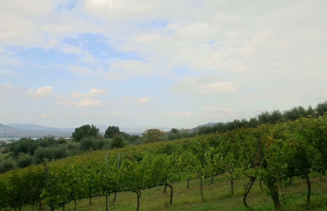 Holiday Home in Pietrafitta Near Lake Trasimeno - Photo 43