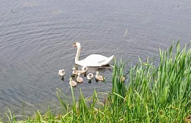 Kuća za odmor BIĐ - Foto 24