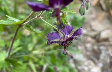 Apartament Pod Zamczyskiem - Photo 8