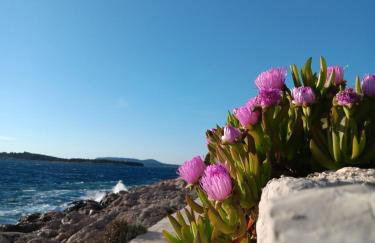 Drazena Buntin Apartments - Photo 26