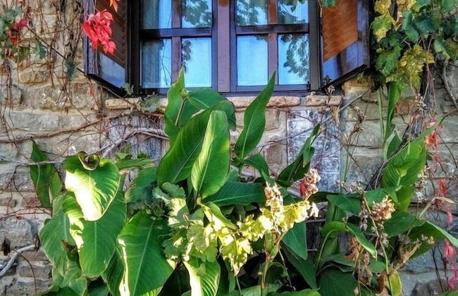 La Cañada - Foto 46