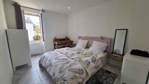 Rive gauche Rive droite Appartements Cosy très bien situés - Foto 5