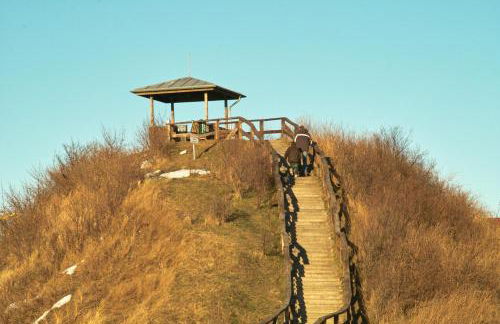 FeWo an der Ostsee Nr. 2 - Foto 6