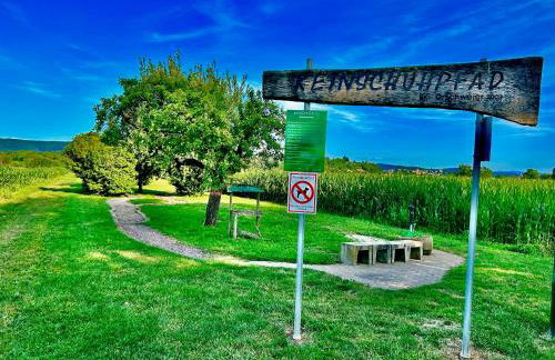 LuxuryOrion,nahe Europapark & Rulantica,Netflix,Disney,KartinaTV - Foto 47